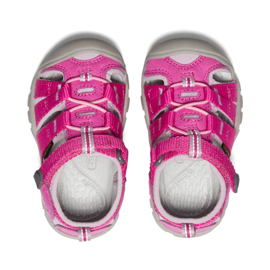 Toddlers' Seacamp II CNX  |  Very Berry/Dawn Pink - Image 4
